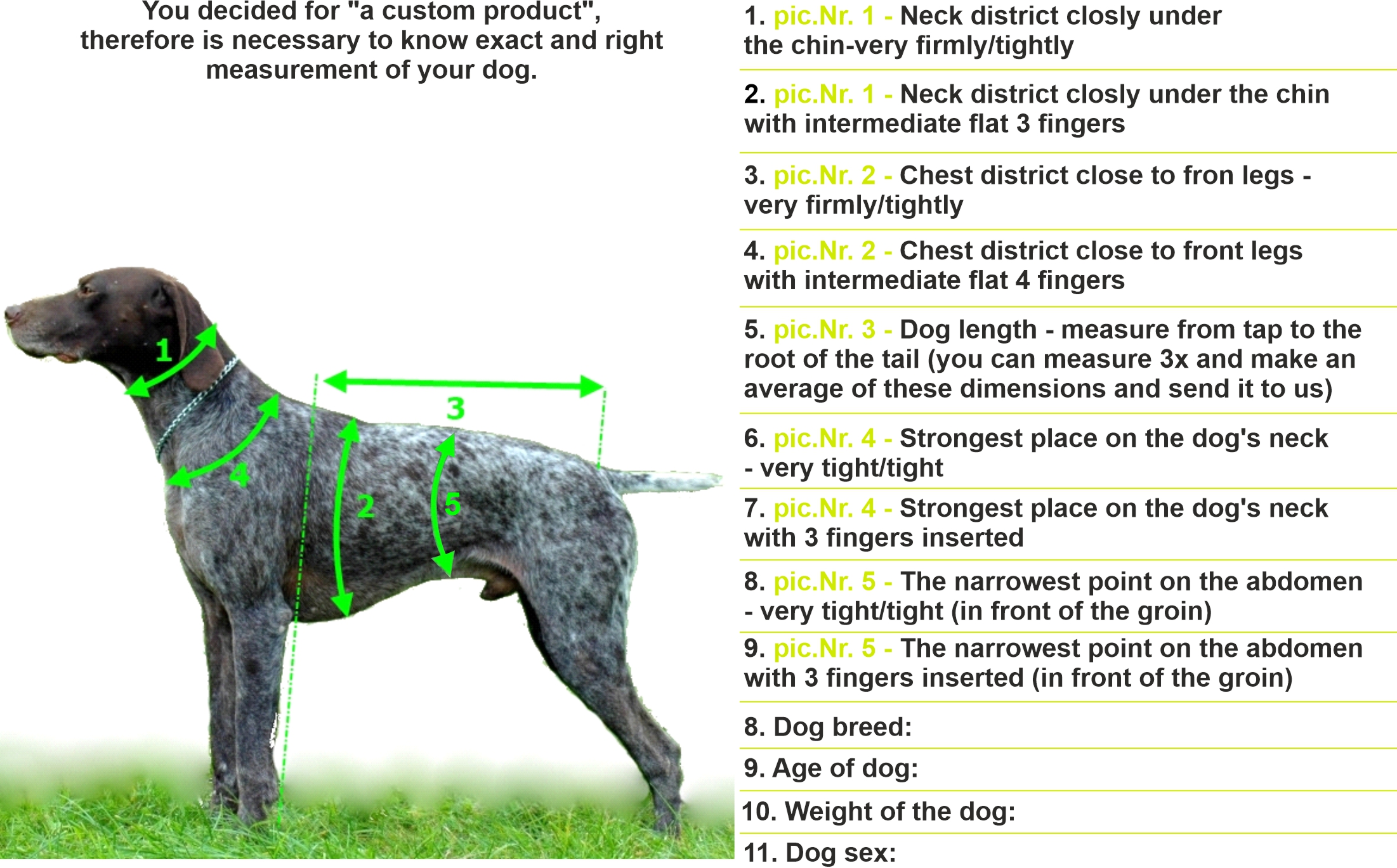How Do You Measure A Dog