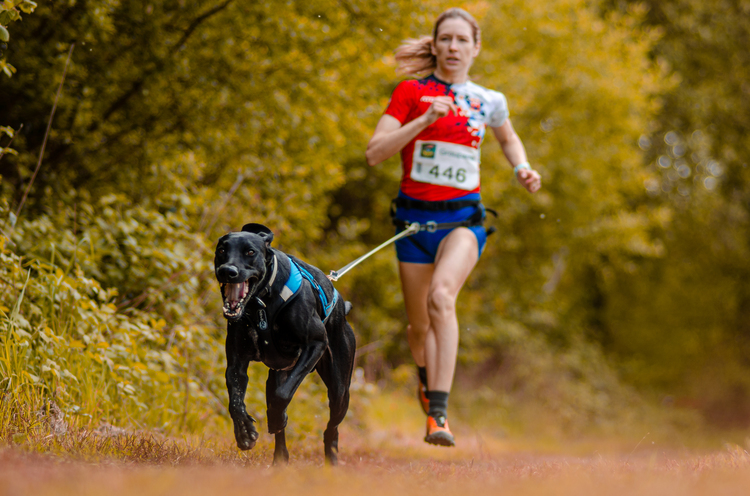 1651845124141 | ZeroDC s.r.o.