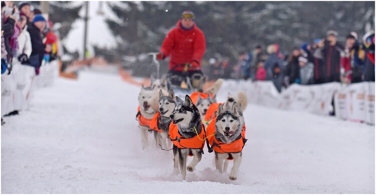 50654738 2961349710545665 2205628116389330944 o | ZeroDC s.r.o.