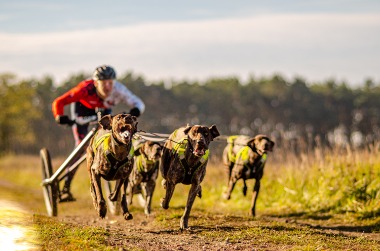 dsc 8583 | ZeroDC s.r.o.