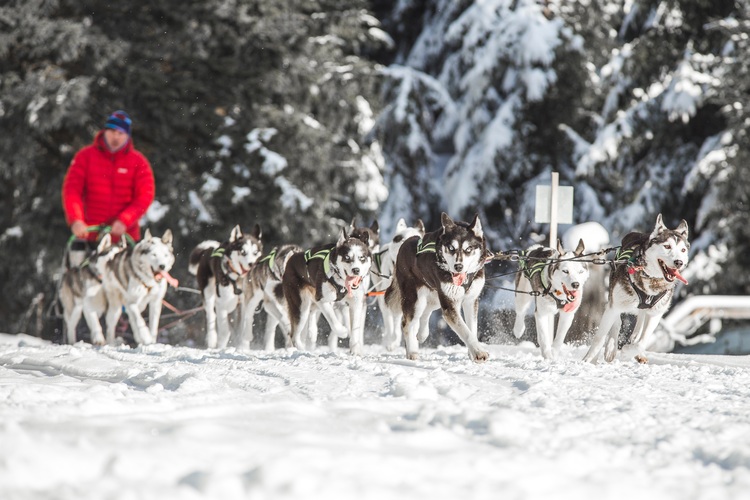 img 0313 | ZeroDC s.r.o.