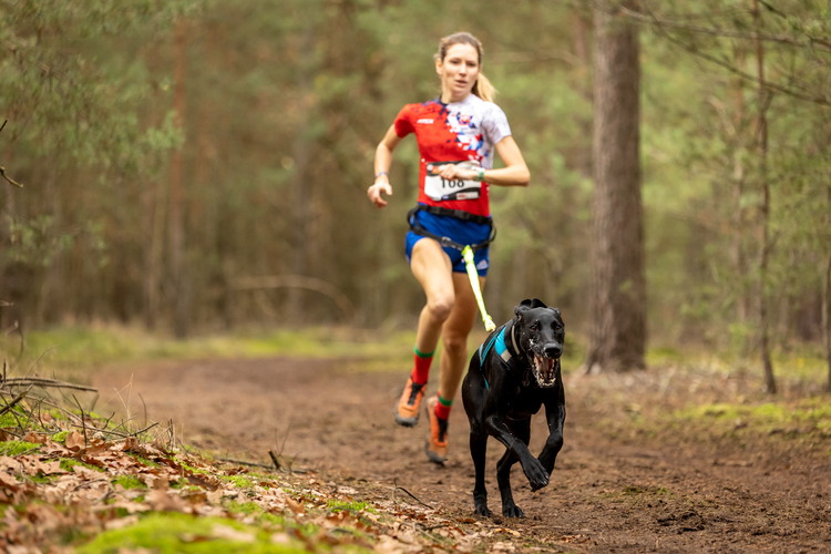 tierische augenblicke cj8a6135 original priv nutzung c6595632  | ZeroDC s.r.o.