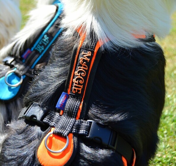 vysivka demo | WebJET CMS