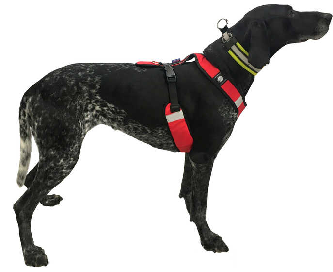 fnukshortkratkyzmenseno | ZeroDC s.r.o.