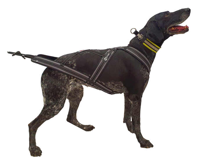 Zero dc dog shop harness
