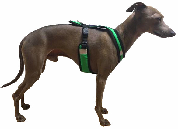 chrtiksupershort | ZeroDC s.r.o.